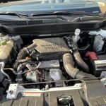 IMG_5946 IMG_5946