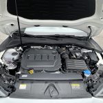 IMG_6186 IMG_6186